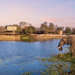 Sandringham: o novo safári de luxo da Sabi Sabi Collection na África do Sul