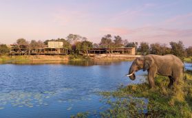 Sandringham: o novo safári de luxo da Sabi Sabi Collection na África do Sul