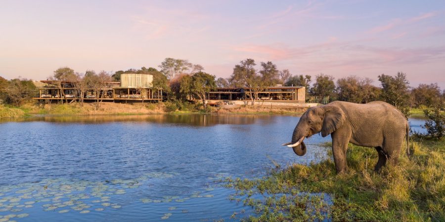 Sandringham: o novo safári de luxo da Sabi Sabi Collection na África do Sul