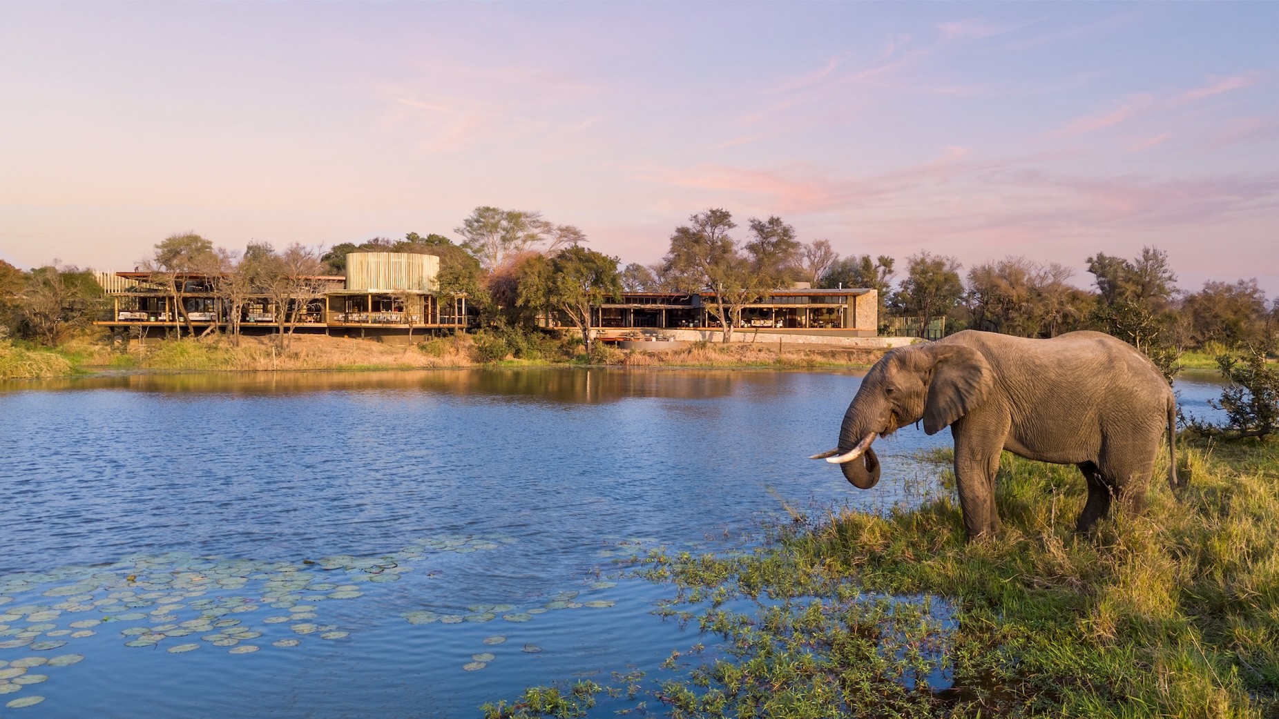 Sandringham: Sabi Sabi Collection’s New Luxury Safari Experience in South Africa