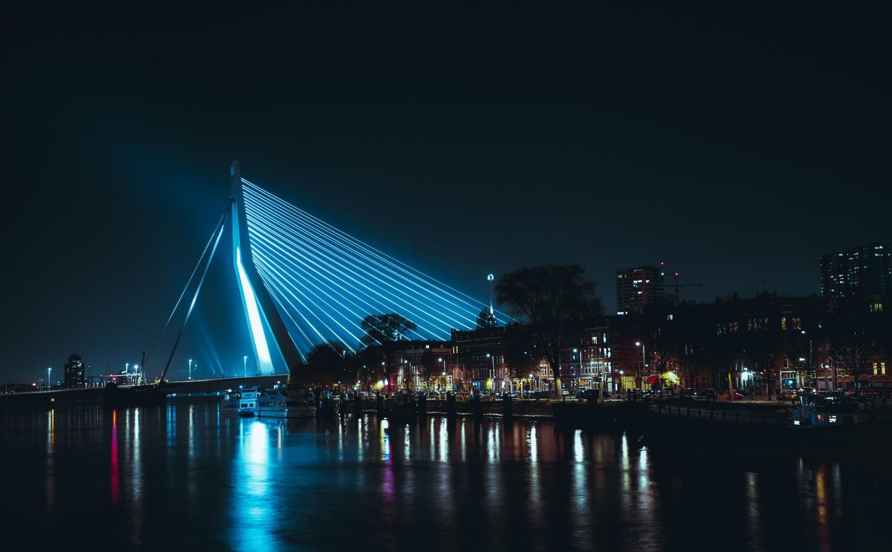Erasmus Bridge lit up at night over the Maas river in Rotterdam, Netherlands